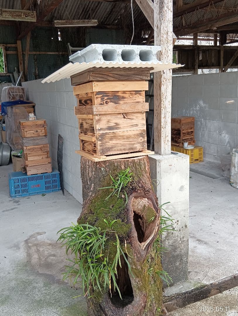 ニホンミツバチの百花蜜　国産天然ハチミツ　1180グラム　2本