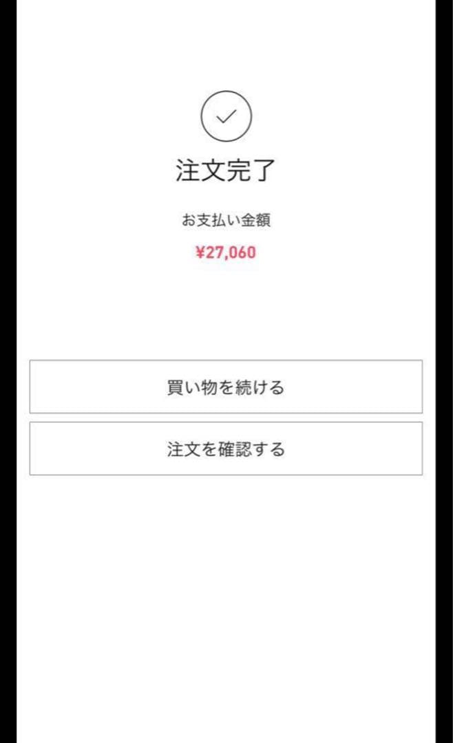 【正規品・未開封】Labubu Big into Energy 10箱