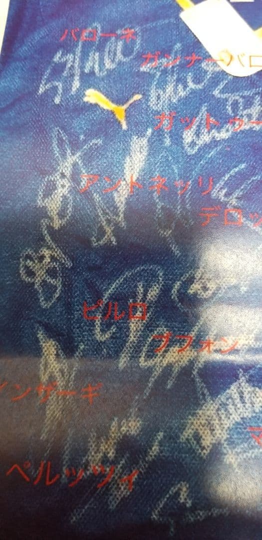 デルピエロ　ブッフォン　マルディーニ　カンナバーロ　他　直筆サイン　イタリア代表