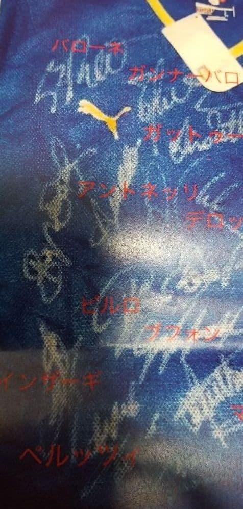 デルピエロ　ブッフォン　マルディーニ　カンナバーロ　他　直筆サイン　イタリア代表