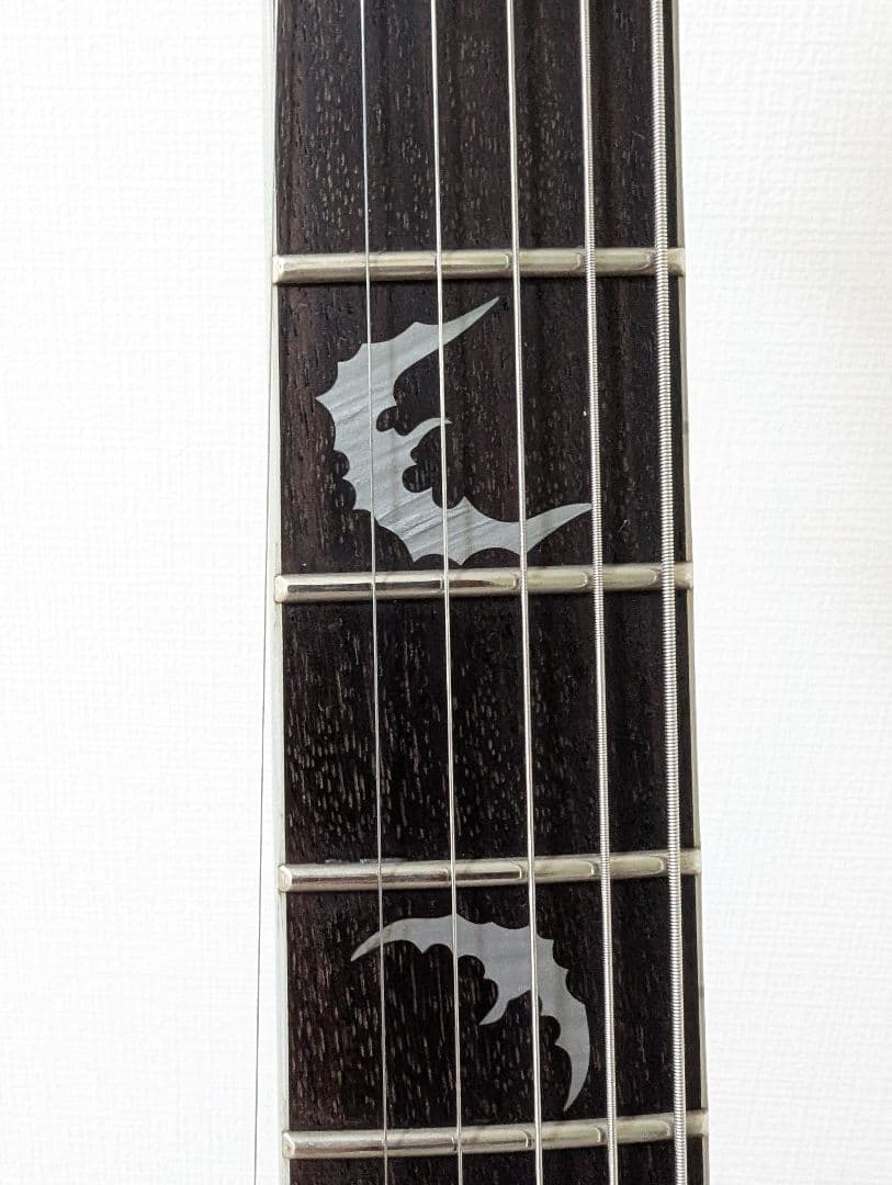 外装美品　SCHECTER Damien Platinum-6　シェクター