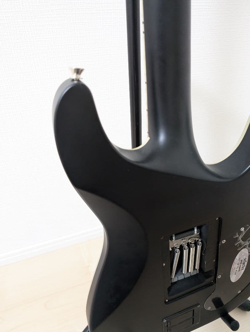 外装美品　SCHECTER Damien Platinum-6　シェクター