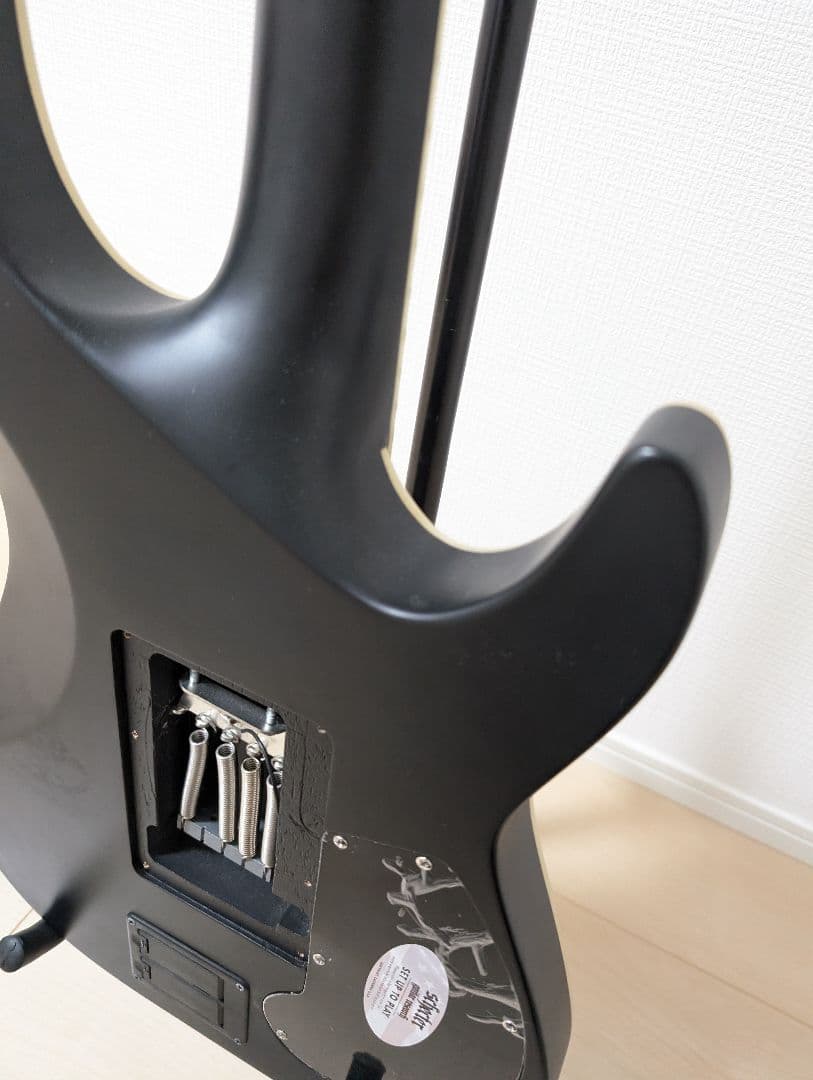 外装美品　SCHECTER Damien Platinum-6　シェクター