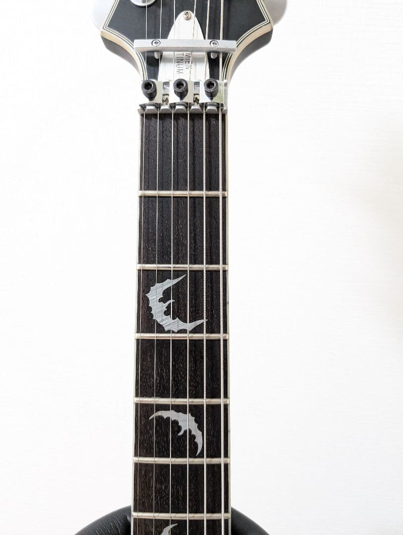外装美品　SCHECTER Damien Platinum-6　シェクター