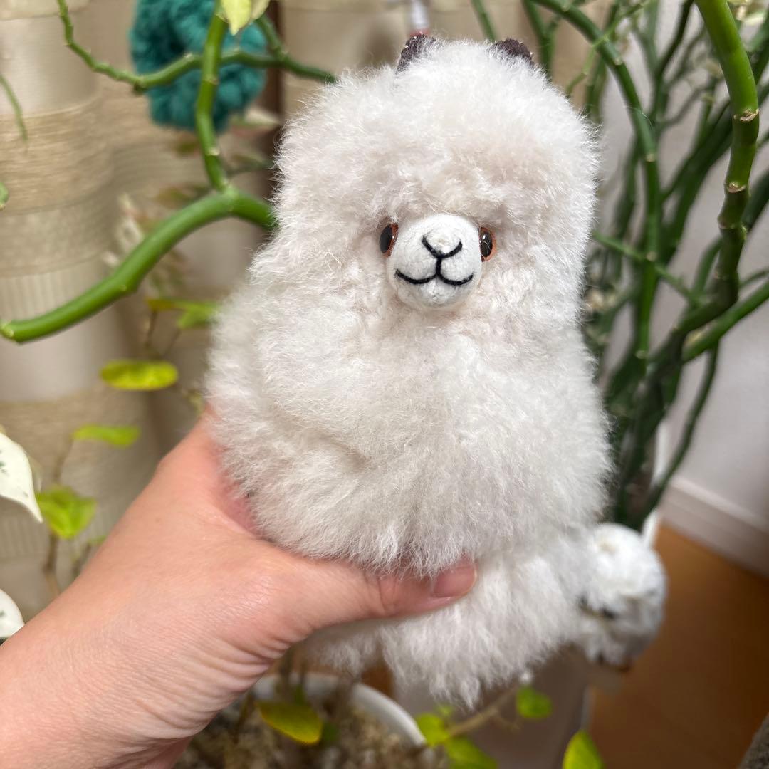 アルパカフェア　アルパカぬいぐるみ