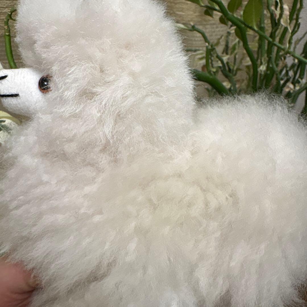 アルパカフェア　アルパカぬいぐるみ