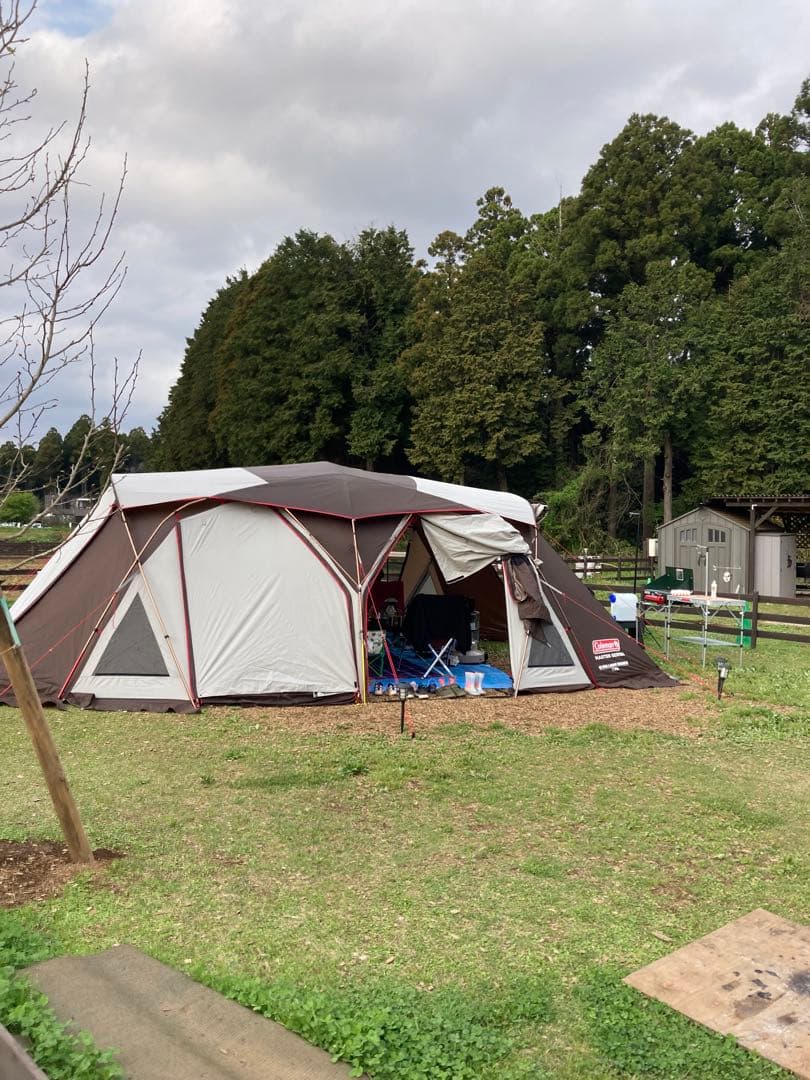 Coleman Master Series コクーン3 オマケ付き