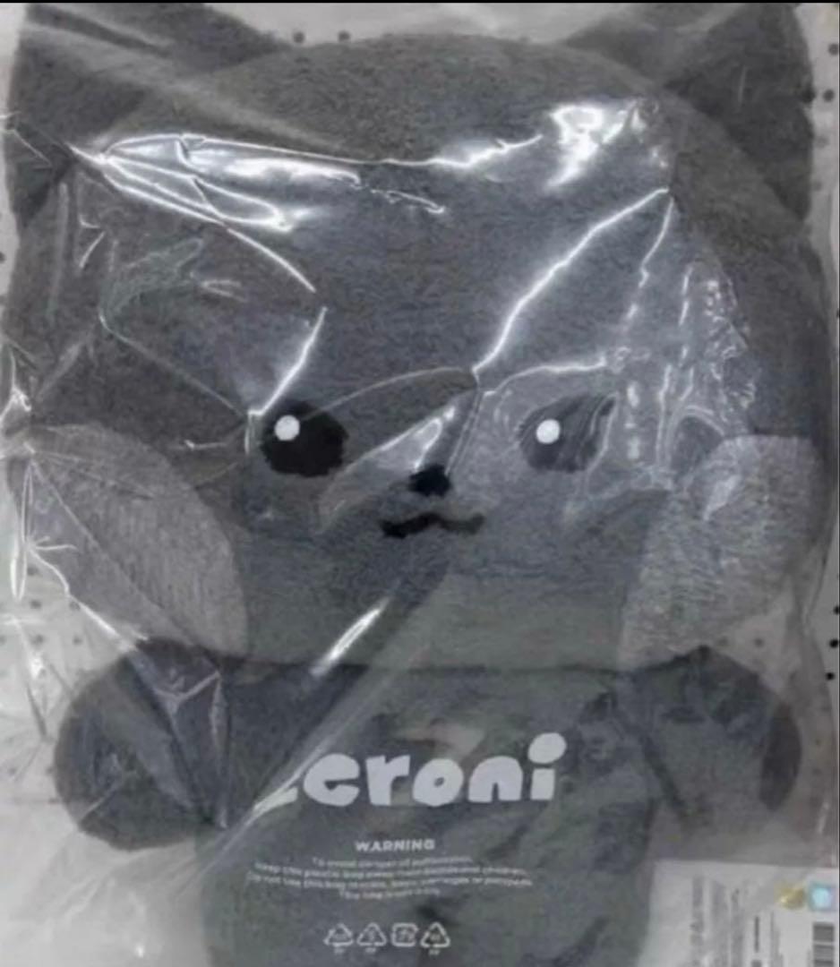 ZB1 zeroni フラットぬいぐるみ ウンニニ ジウン ラインフレンズ