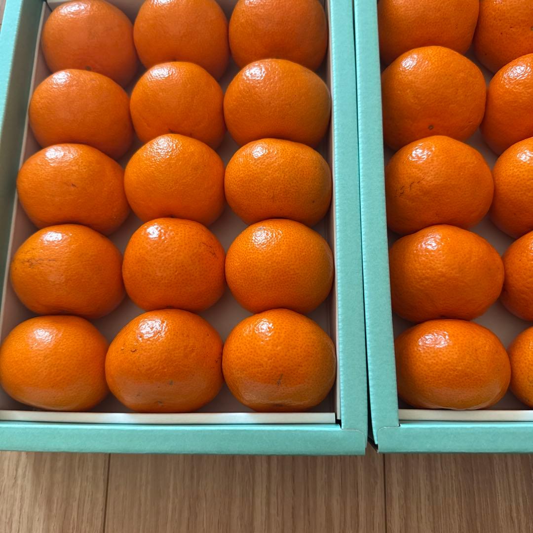 rippy即日発送銀座千疋屋ミカン30個 15✖️2箱入12月10日作成定価