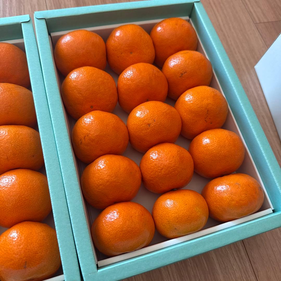 rippy即日発送銀座千疋屋ミカン30個 15✖️2箱入12月10日作成定価
