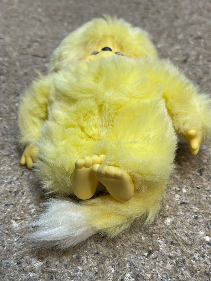 モンチッチ　レア　3体セット