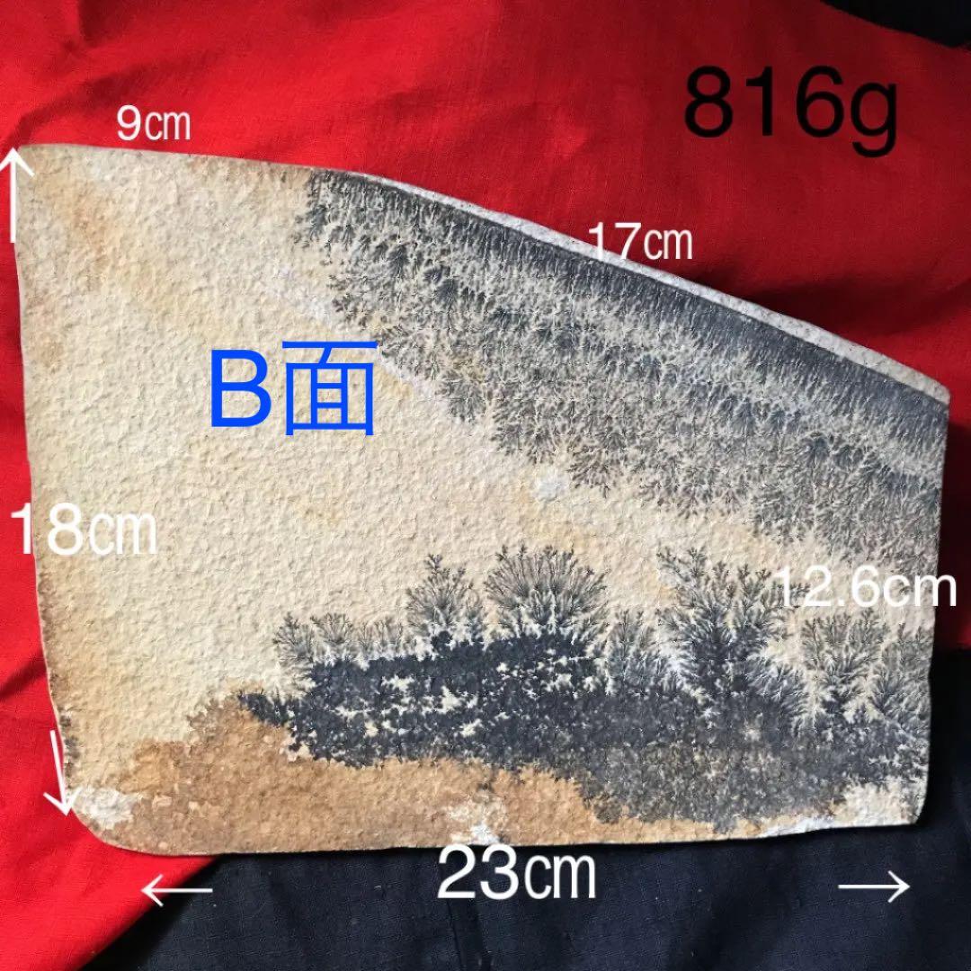 永久に枯れない樹木を封じ込めた石　樹形石(しのぶ石)  Dendrite