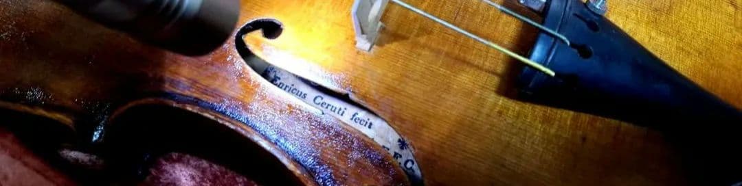 (エンリスク チェルティー 裏板のみ制作)のバイオリン