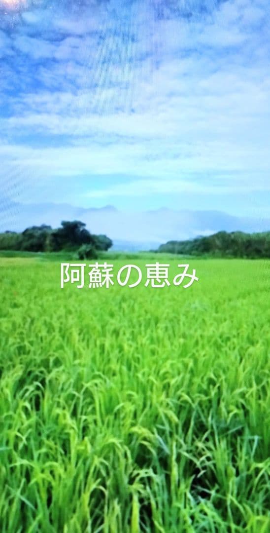 1 R7年 自然栽培米 2品種食べ比べセット10kg（5kg×2）玄米 セット