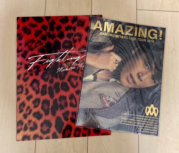 宮野真守　ライブ　パンフレット