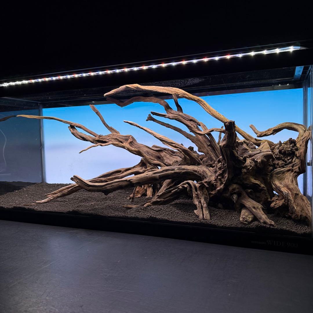 MSRW-7080 天然流木レイアウトセット　スリムウッド　アクアリウム