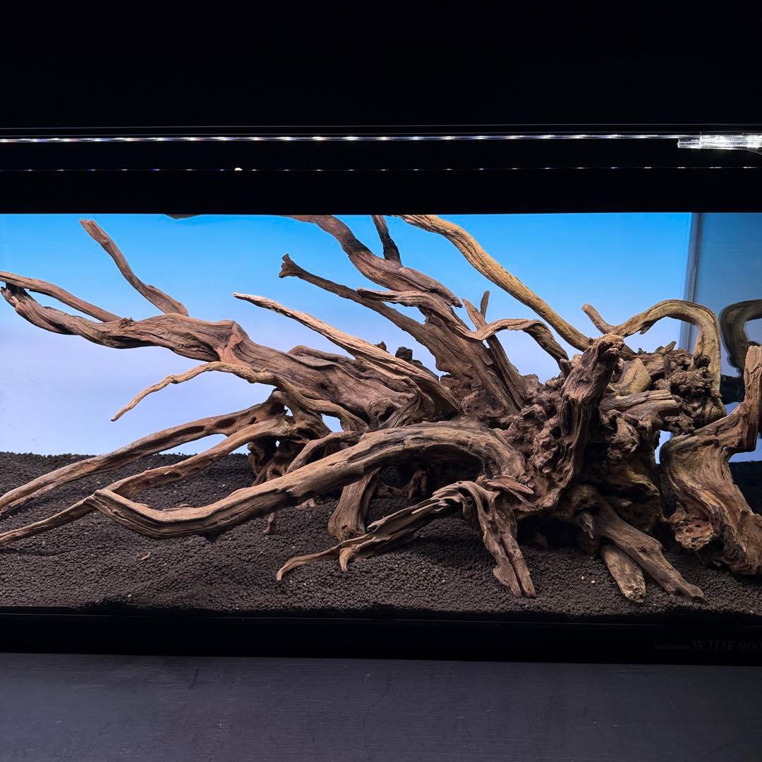 MSRW-7080 天然流木レイアウトセット　スリムウッド　アクアリウム