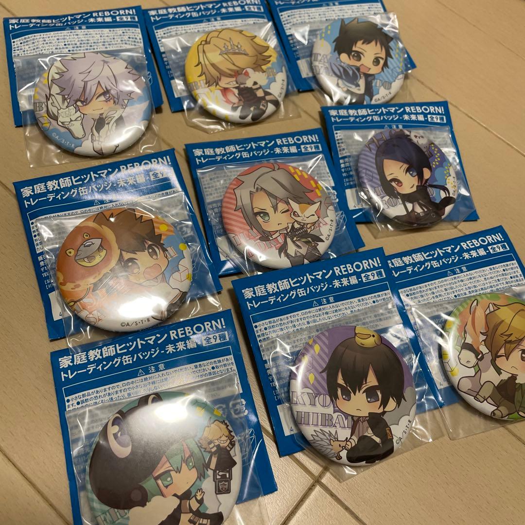 【全9種コンプ】家庭教師ヒットマンREBORN！トレーディング缶バッジ　未来編