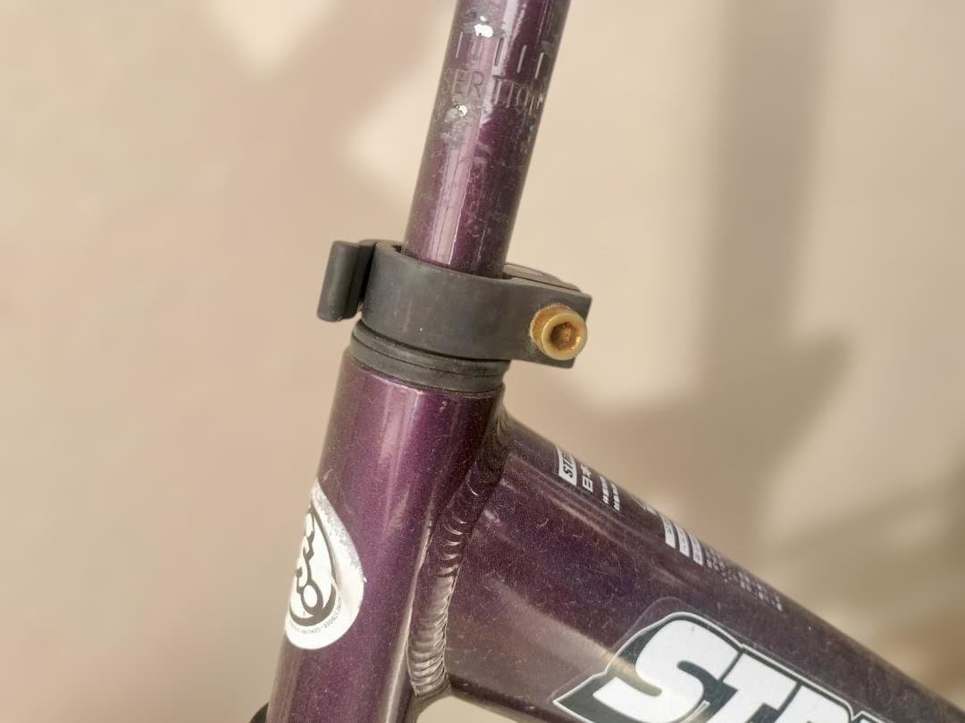 Strider Pro バランスバイク 12インチ パープル