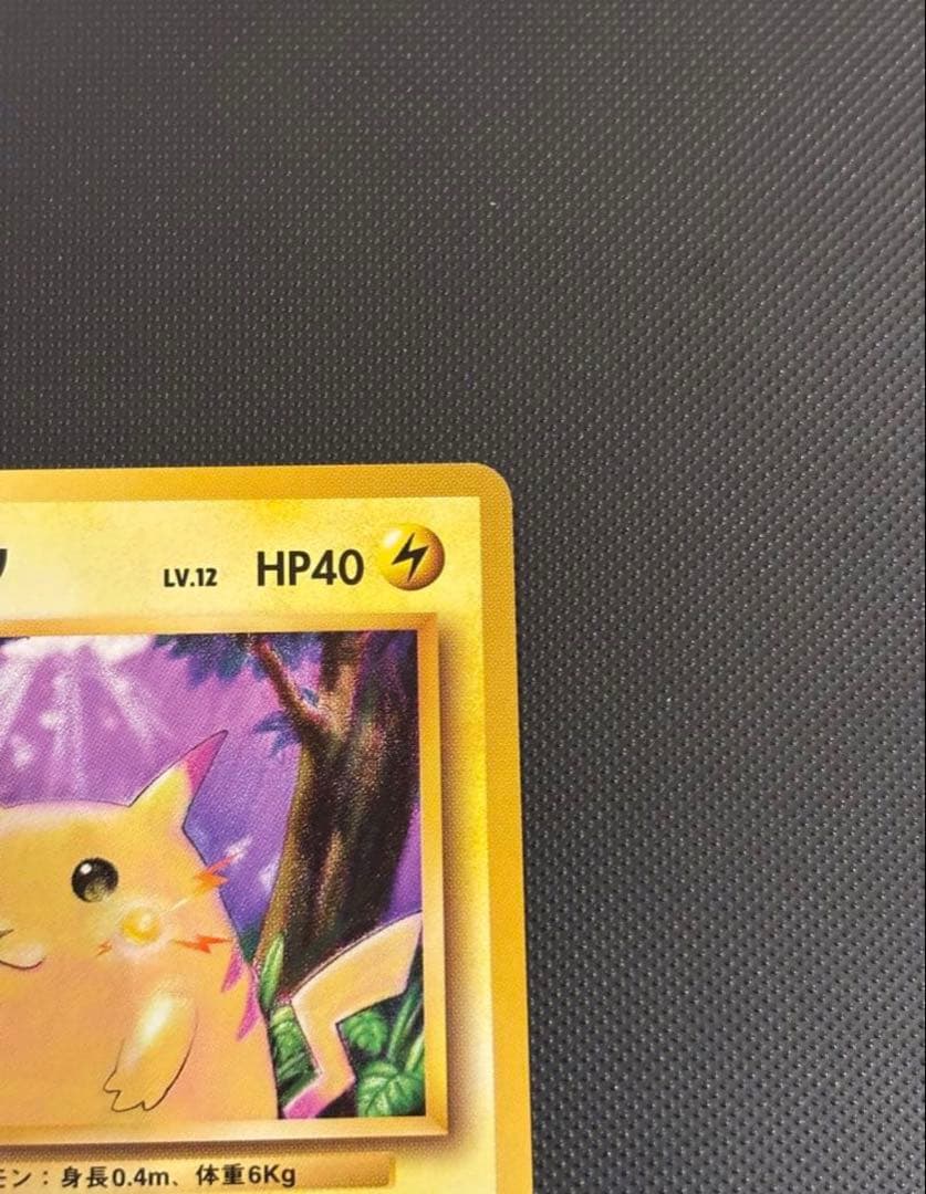 YSK様 リクエスト 3点 まとめ商品【ピカチュウ ・フリーザー ・サンダー】