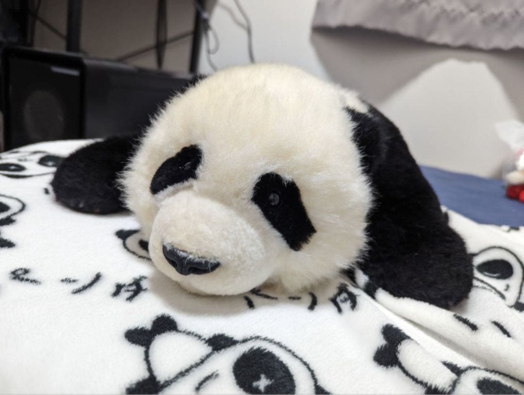 【入手困難】パンダ ぬいぐるみ リアル 本物 そっくり