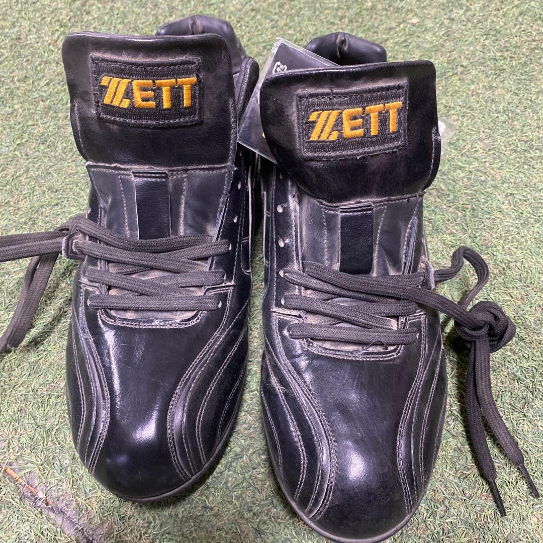 ゼットプロステ