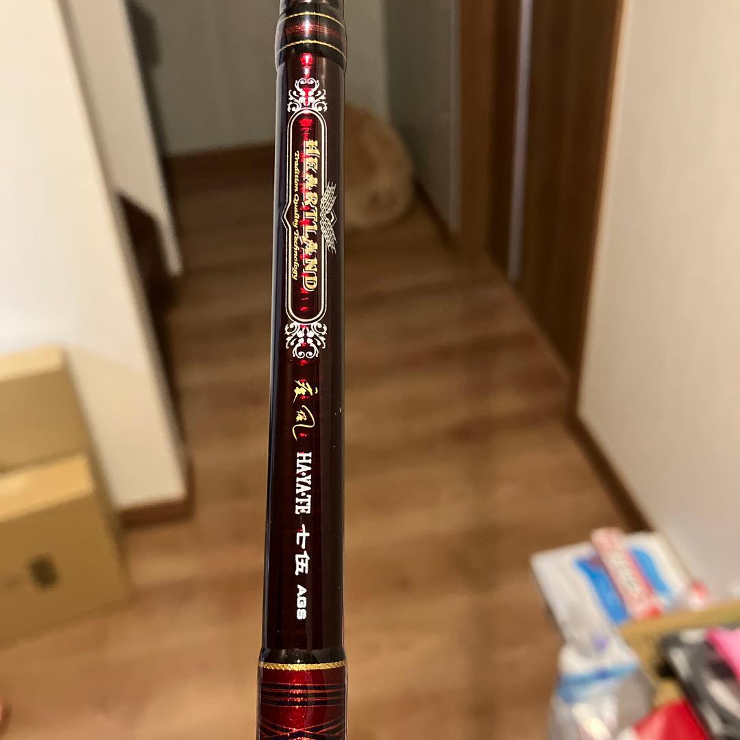 Daiwa HL 751HRBーSV AGS19 HAYATE75 AGS