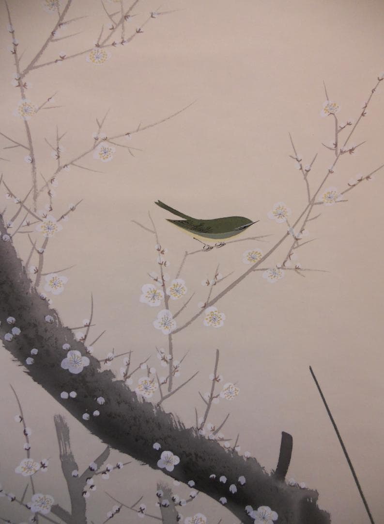 掛け軸 國廣 梅花図 絹本 希少 軸装 茶道具 掛軸 美品 です。