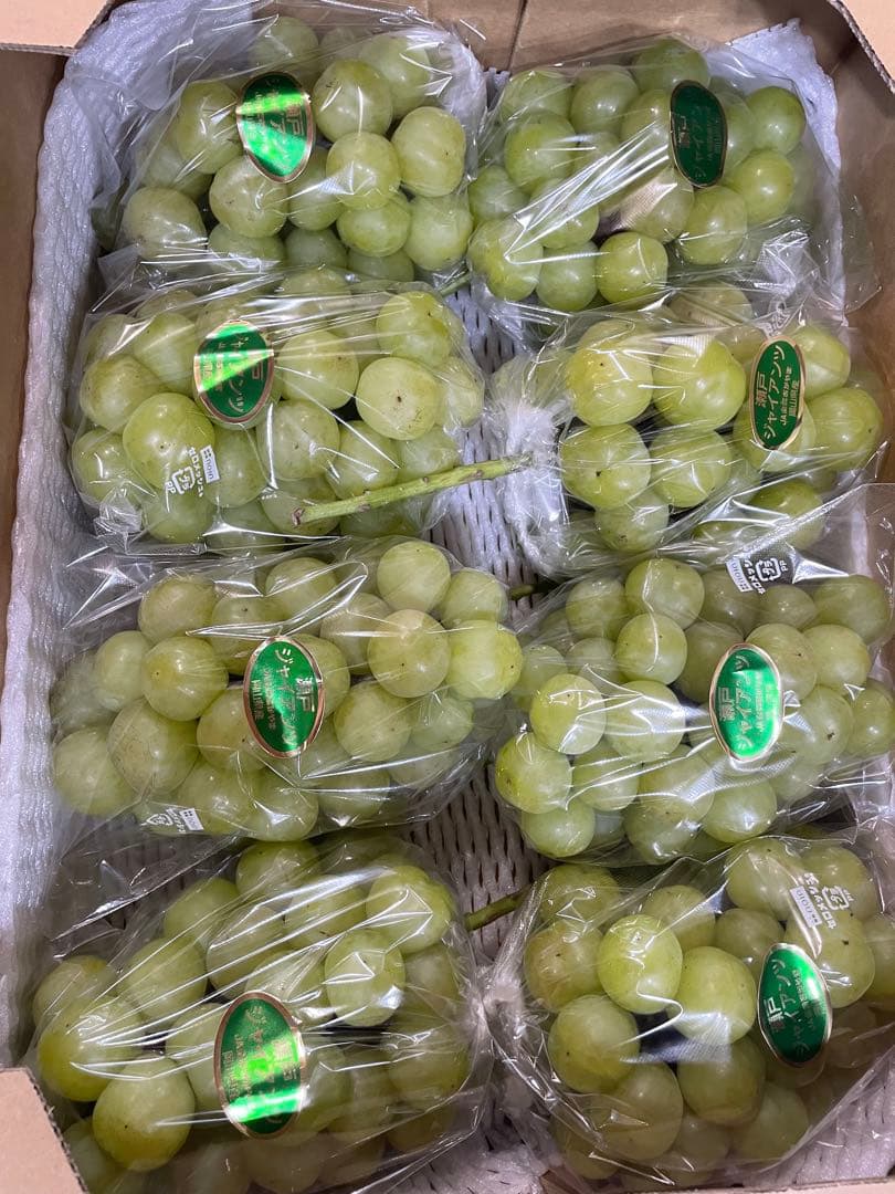 ③【岡山県産】瀬戸ジャイアンツ　7〜12房　約5キロ