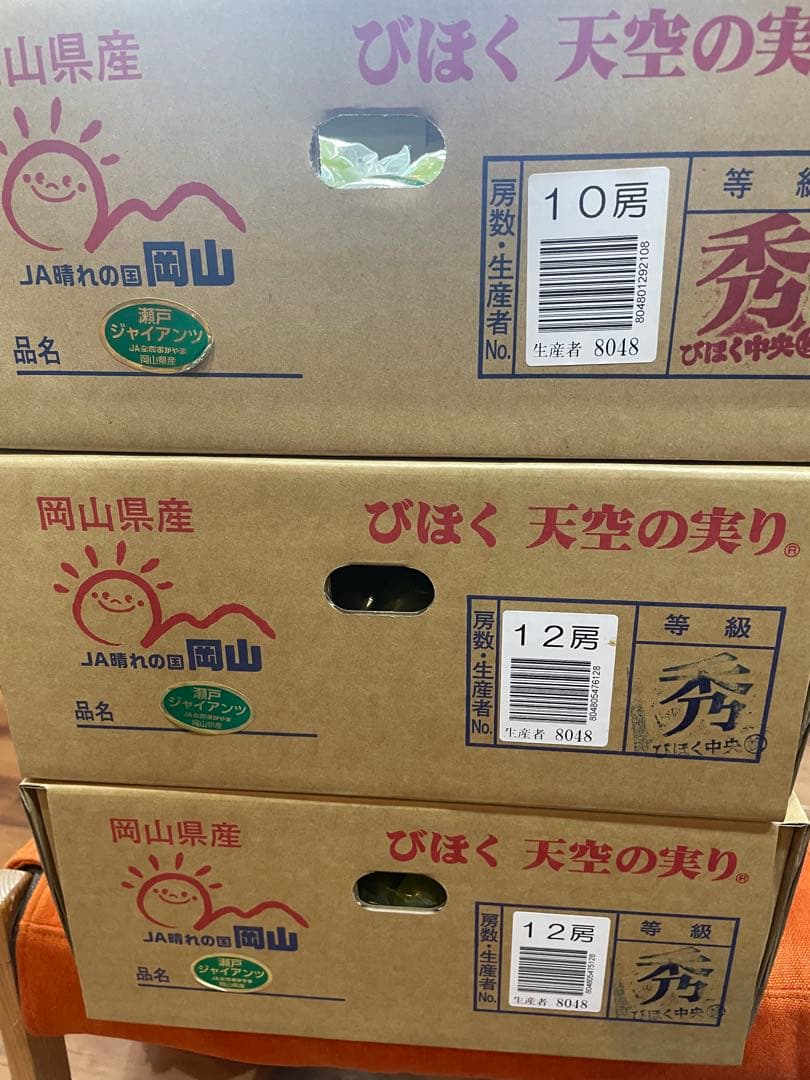 ③【岡山県産】瀬戸ジャイアンツ　7〜12房　約5キロ