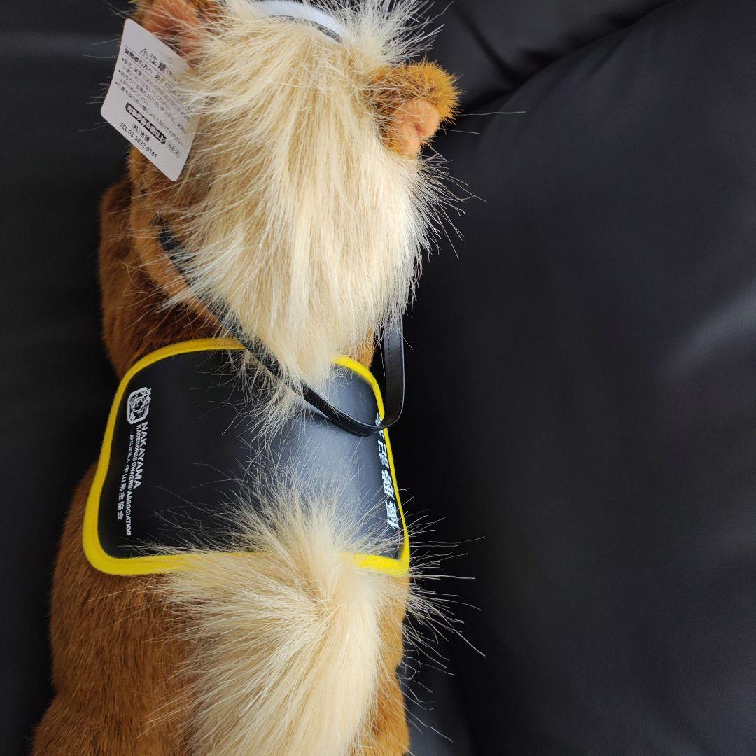 【非売品】JRA競走馬「特大ぬいぐるみ」競馬グッズ 優勝記念/ ウマ娘 中央競馬