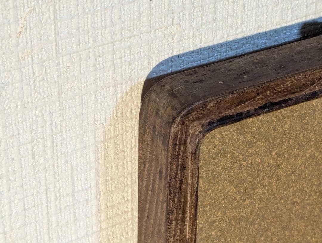 【真作】【複製】工芸画　武者小路実篤　花も実もあるこの世哉　実篤の美学　V27