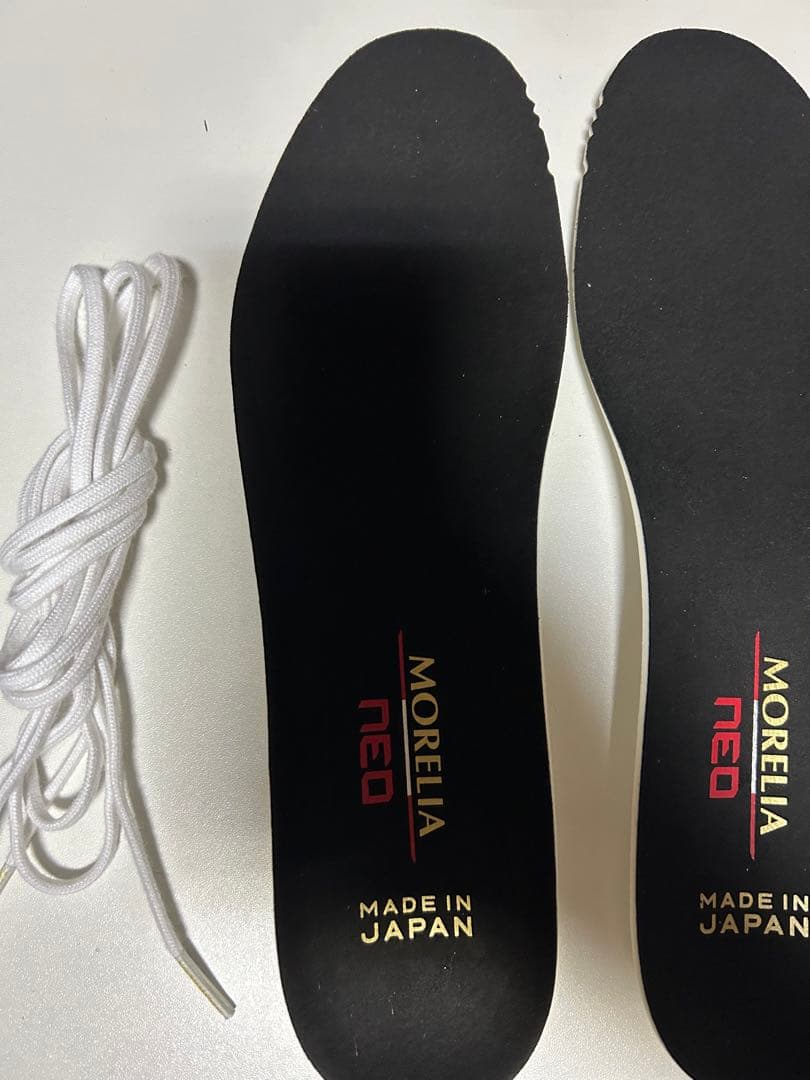 モレリアネオ4Japan