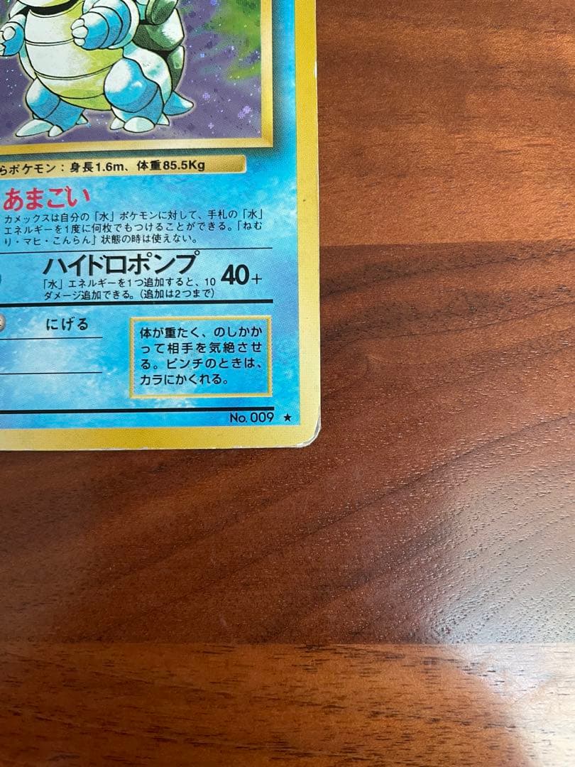 旧裏・御三家 ゼニガメ／カメール／カメックス★キラ 初期進化ラインセット