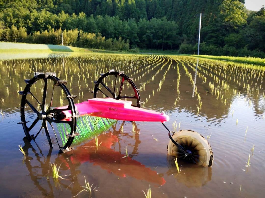 ★自然栽培米　玄米30kg(10kg×3)　令和7年度　熊本県産　森のくまさん★