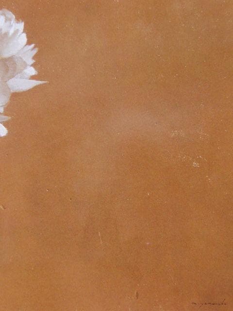 山中雅彦、「芍薬」、希少な額装用画集より、新品高級額装付