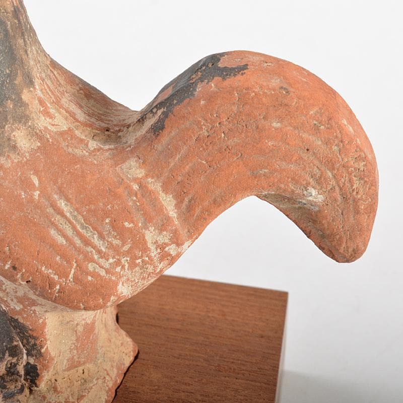 中国　加彩　鳥　置物　飾り台付　C　R5913