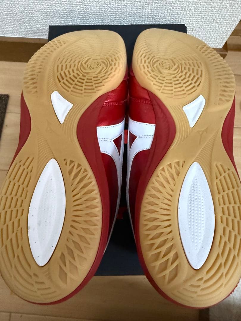 ミズノ モレリア SALA JAPAN IN 26.5㎝