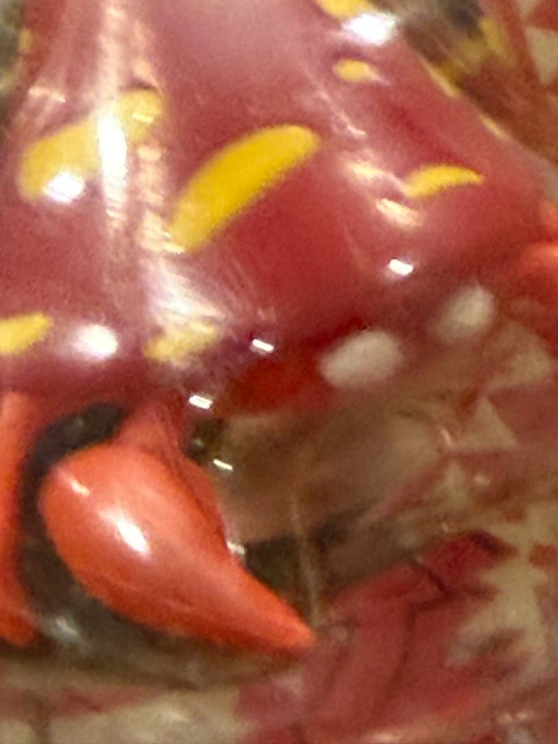 新品未使用♦︎絶版ポケモン•モンコレ75パラセクト&パラス未開封未展示【希少】