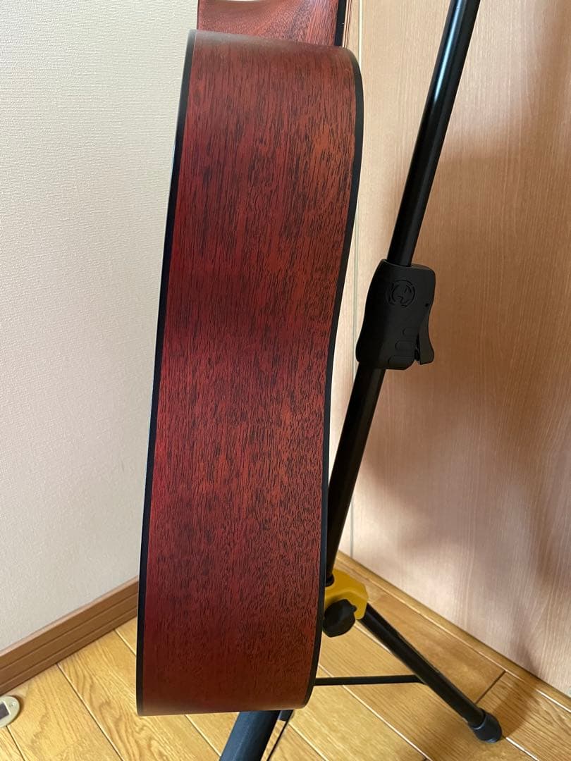 【説明・プロフ必読！】Martin & Co. D-16GT