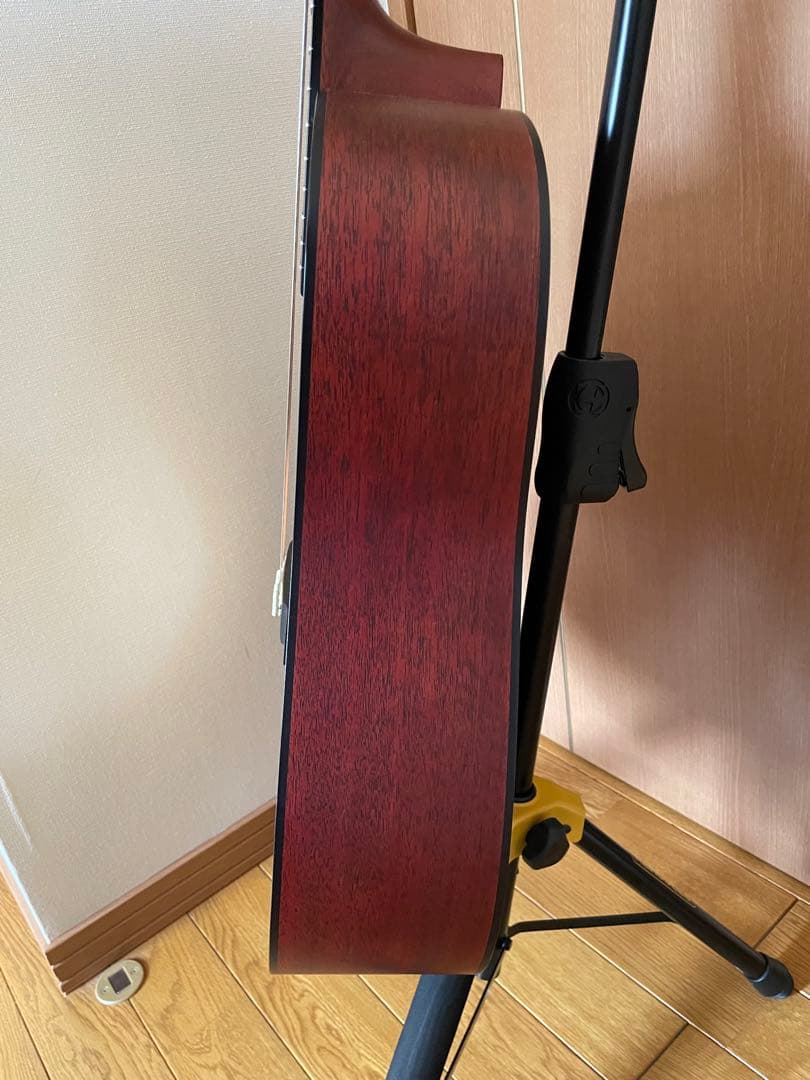 【説明・プロフ必読！】Martin & Co. D-16GT