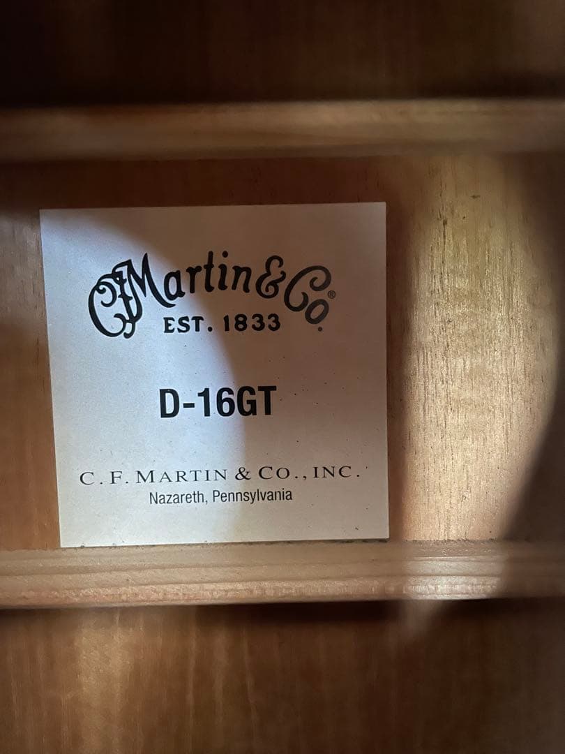 【説明・プロフ必読！】Martin & Co. D-16GT
