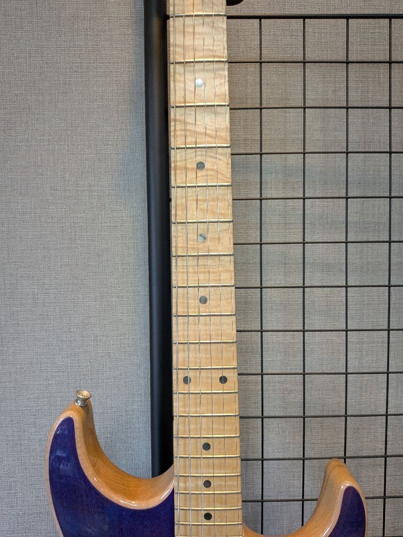 ギター Addictone Custom Guitars Modern Series