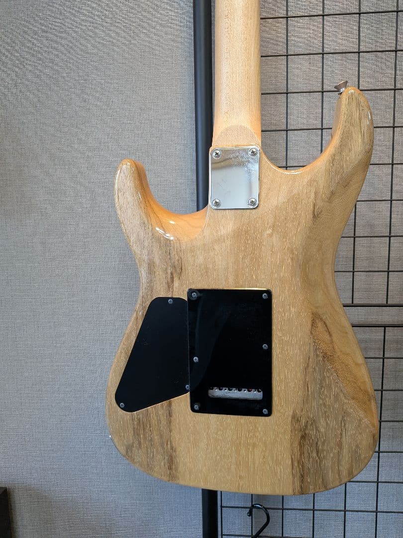 ギター Addictone Custom Guitars Modern Series