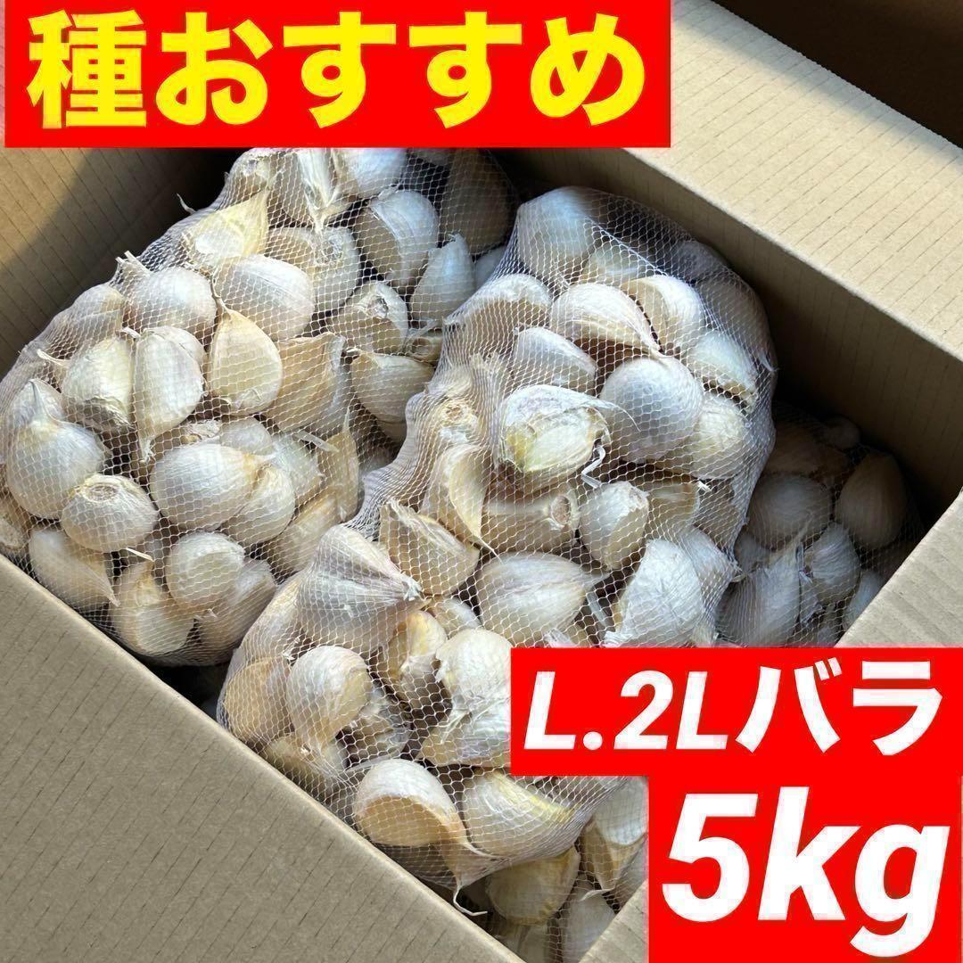 【大特価】新物 青森県産 にんにく L.2Lバラ 5kg 福地ホワイト 激安