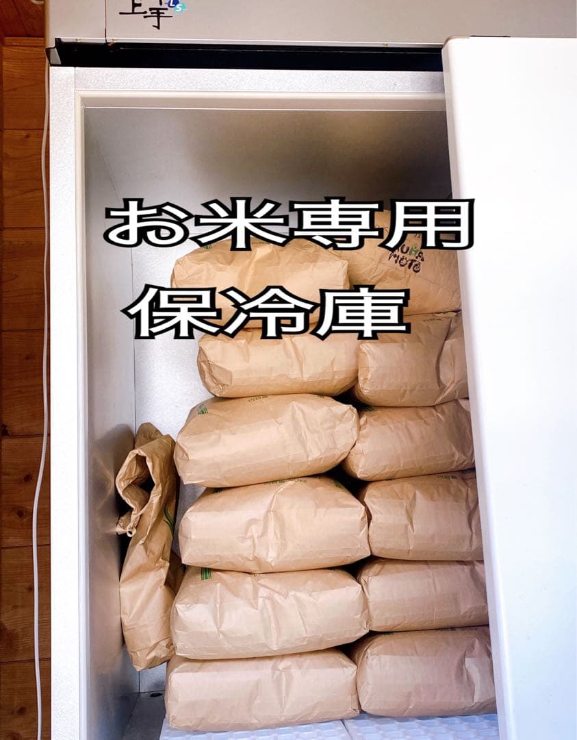 熊本県産　くまさんの輝き　令和7年度産　30キロ　送料込　新米　農家直送　玄米