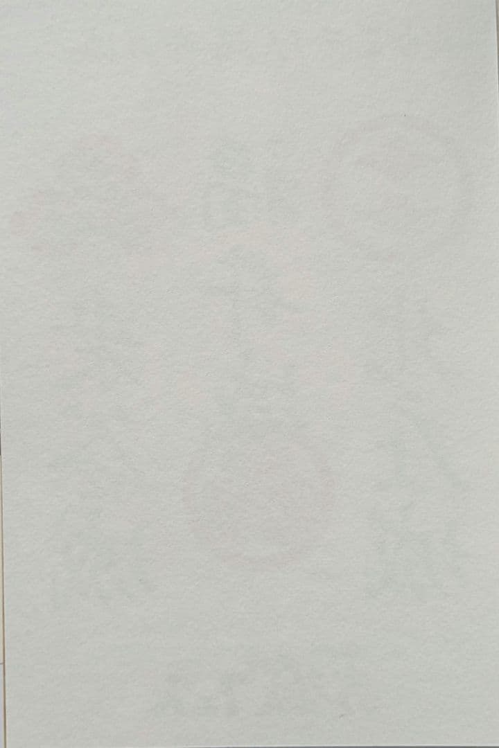 福井 越前若狭 お城フェス 2024 限定 御城印 御朱印