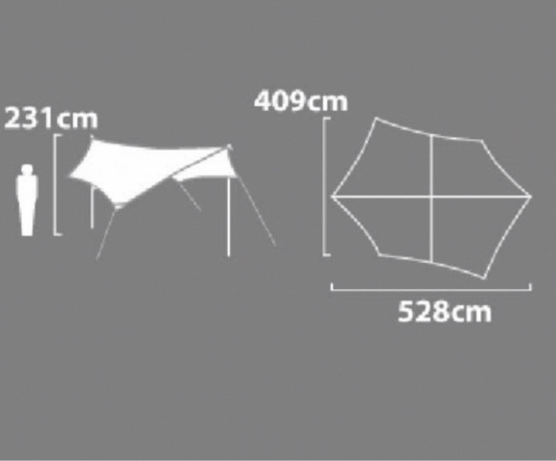 NEMO SHADOWCASTER LE 165 タープ