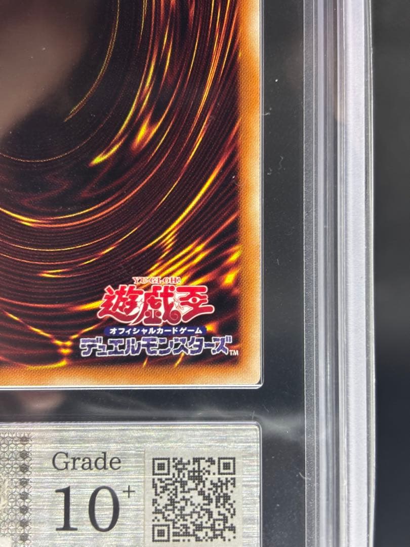 倶利伽羅天童　ARS鑑定　ARS10+　プリズマ　プリシク