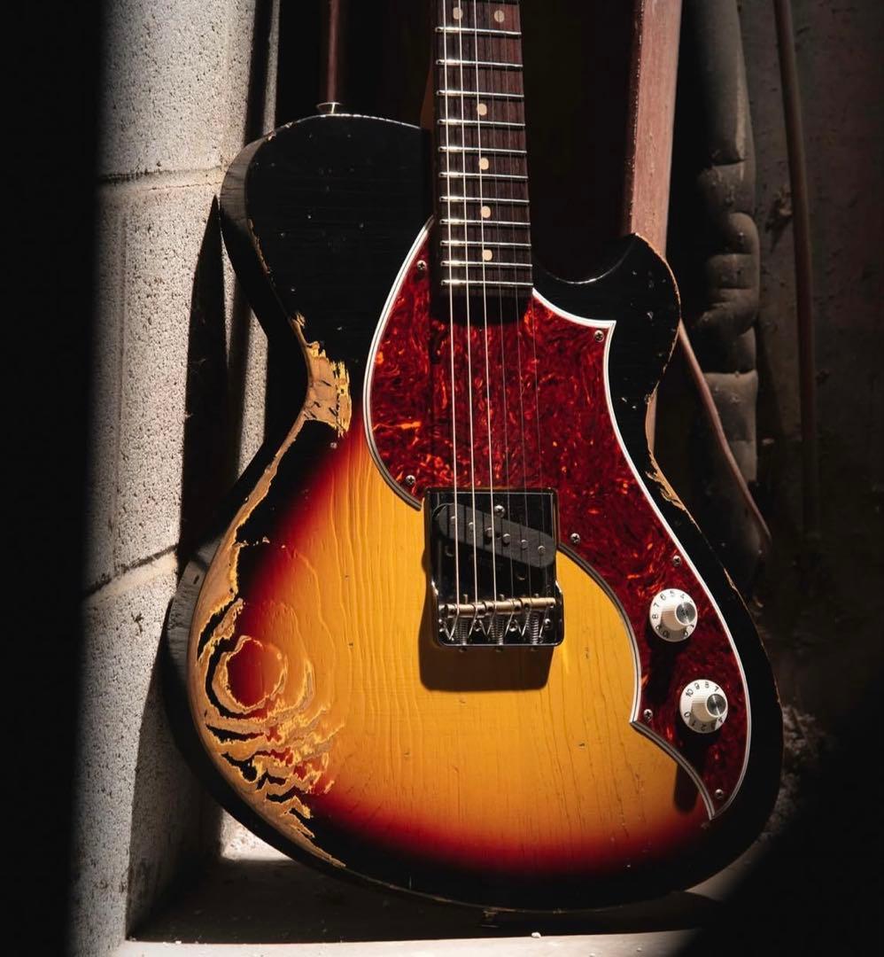 NOVO Serus T / 公式Insta掲載個体 / 3.13kg/fano